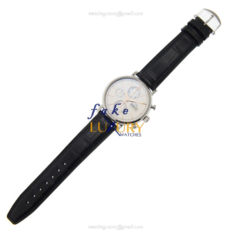 IWC PORTOFINO IW391022 Replica Watch, Automatic Movement, Silver Dial, Black Alligator Strap - Image 2