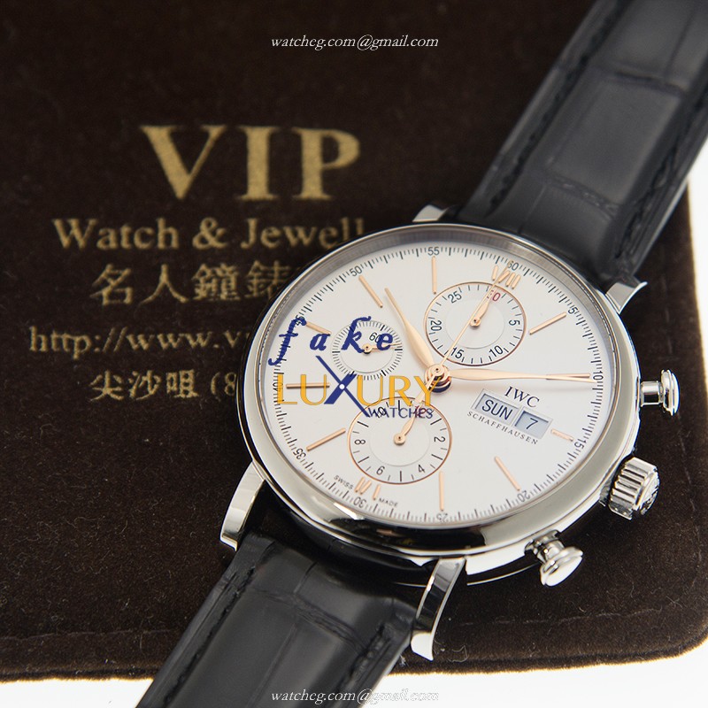 IWC PORTOFINO IW391022 Replica Watch, Automatic Movement, Silver Dial, Black Alligator Strap - Image 5