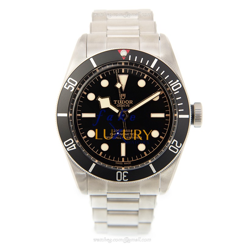 79230N - Tudor Heritage Ranger Replica Watch Automatic Black Dial Steel - Image 2