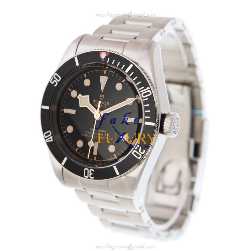 79230N - Tudor Heritage Ranger Replica Watch Automatic Black Dial Steel - Image 3