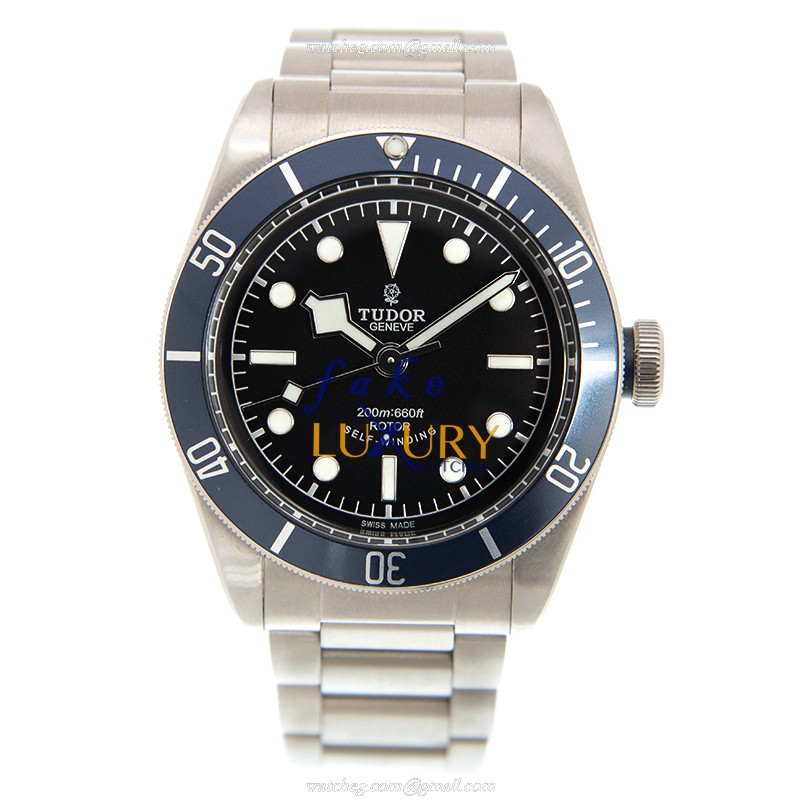 Tudor 79220B-STEEL HERITAGE BLACK BAY Automatic Silver Dial Steel Case Replica Watch - Image 2