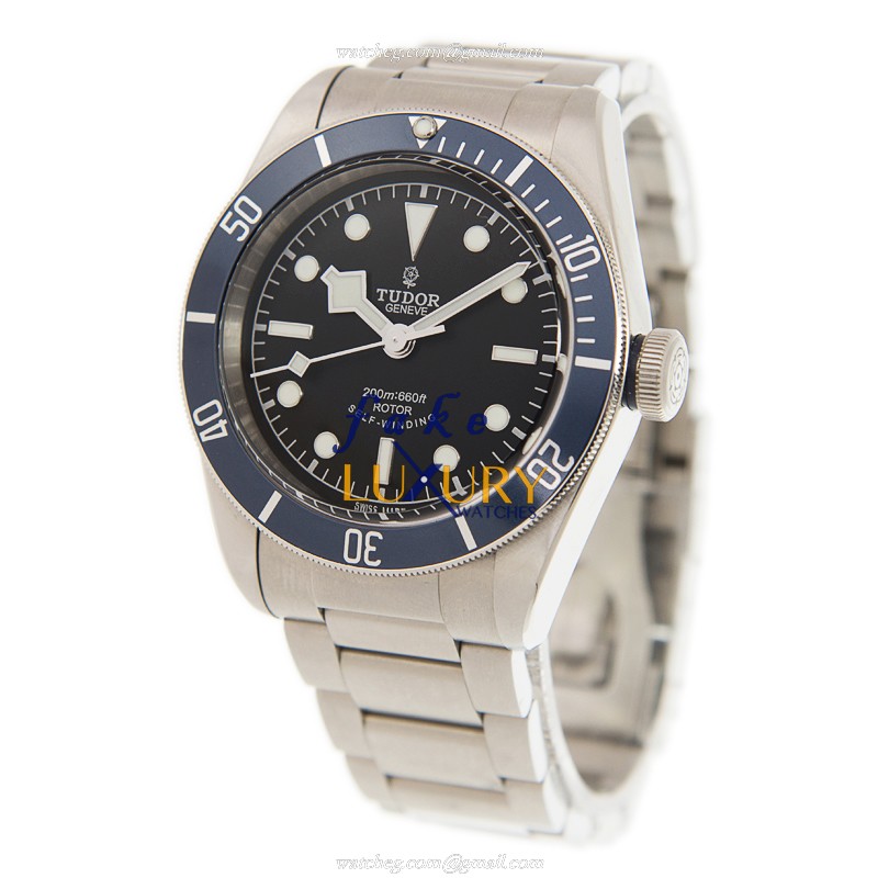 Tudor 79220B-STEEL HERITAGE BLACK BAY Automatic Silver Dial Steel Case Replica Watch - Image 3