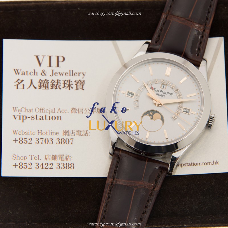Patek Philippe 5496P-015 Grand Complications Replica Watch, Automatic Movement, Silver Dial, 950 - Image 5