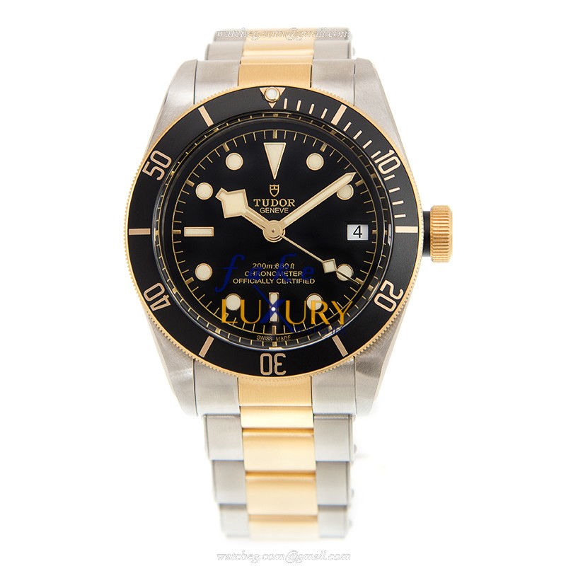 Tudor 79733N BLACK BAY AUTO 18kt Gold & Steel - Black Dial - Tudor Replica Watch - Image 2