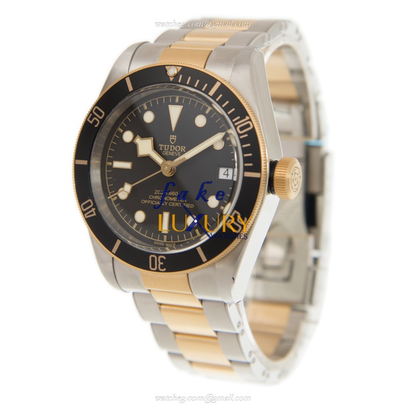 Tudor 79733N BLACK BAY AUTO 18kt Gold & Steel - Black Dial - Tudor Replica Watch - Image 3
