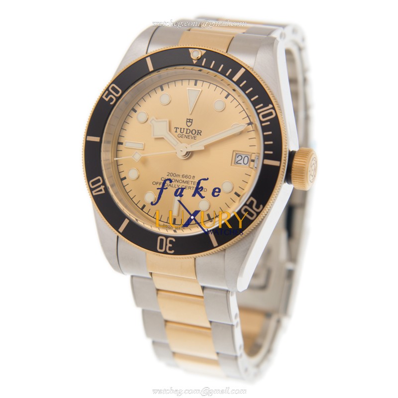 Tudor 79733N CHAMPANGE BLACK BAY Automatic 18kt Gold & Steel - Tudor Replica Watch - Image 3