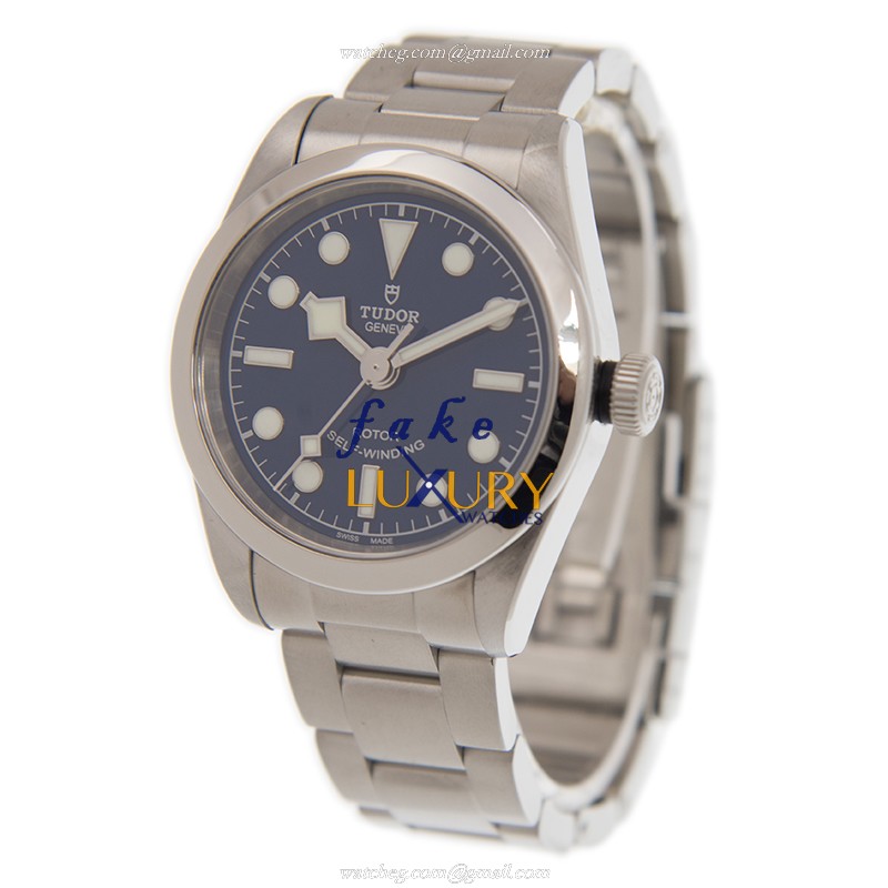 Tudor 79580BL - Heritage Ranger - Automatic - Stainless Steel - Replica Watch - 79580BL.01 - Image 3