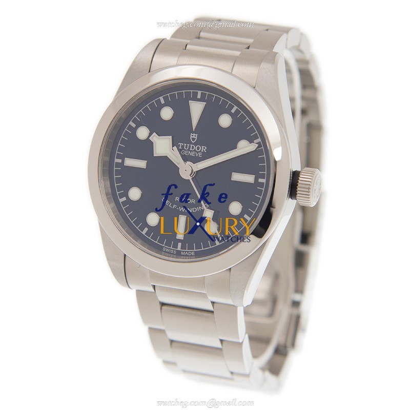 Tudor Heritage Ranger 79500-95750-BL Automatic Silver Steel Replica Watch - Image 3