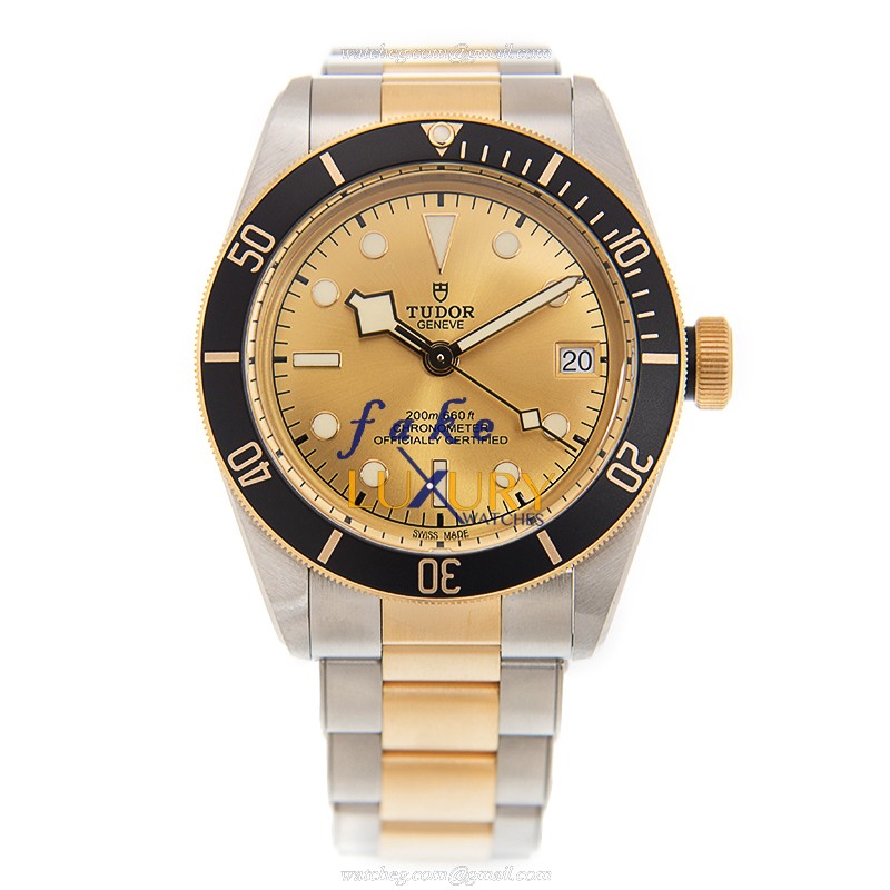 Tudor 79733N CHAMPANGE BLACK BAY Automatic 18kt Gold & Steel - Tudor Replica Watch - Image 2