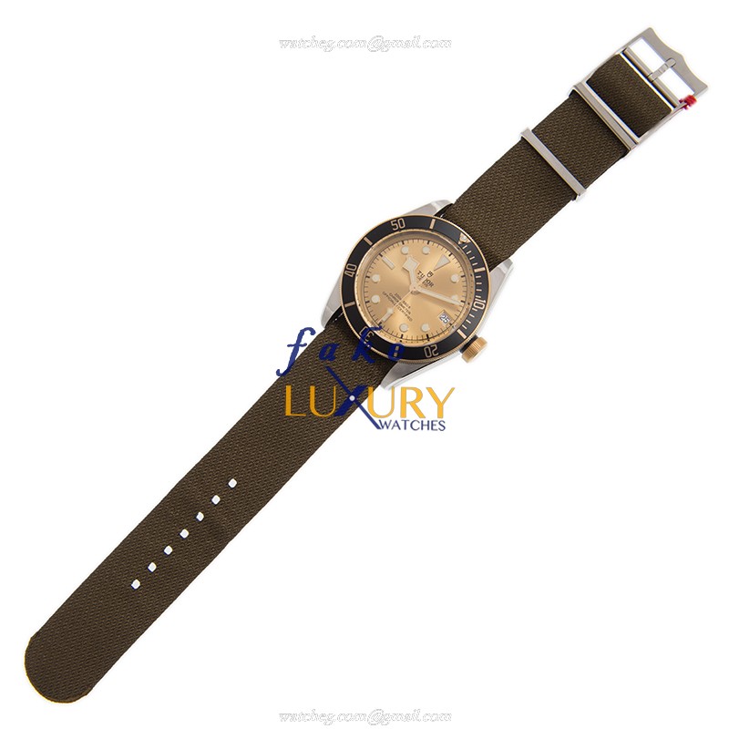 Tudor Black Bay 79733NCH-CS Replica Watch, Automatic Movement, Gold Dial, Steel Case - Image 2
