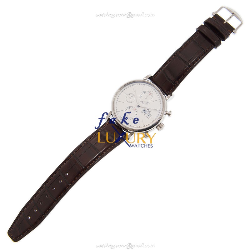 IWC IW391027 IW391007 Portofino Replica Watch, Automatic Movement, Silver Dial, Brown Alligator - Image 2