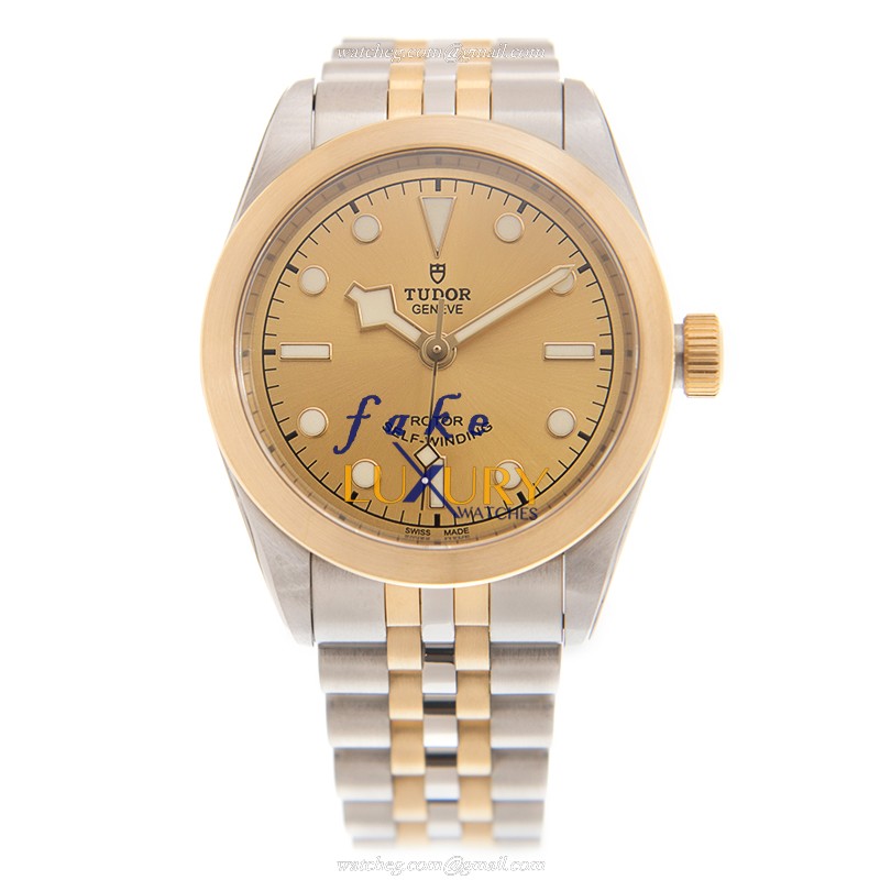 Tudor 79583CH BLACK BAY 32 Auto 18kt Gold/Steel Case Sapphire Crystal Gold Dial Silver/Gold Strap - Image 2