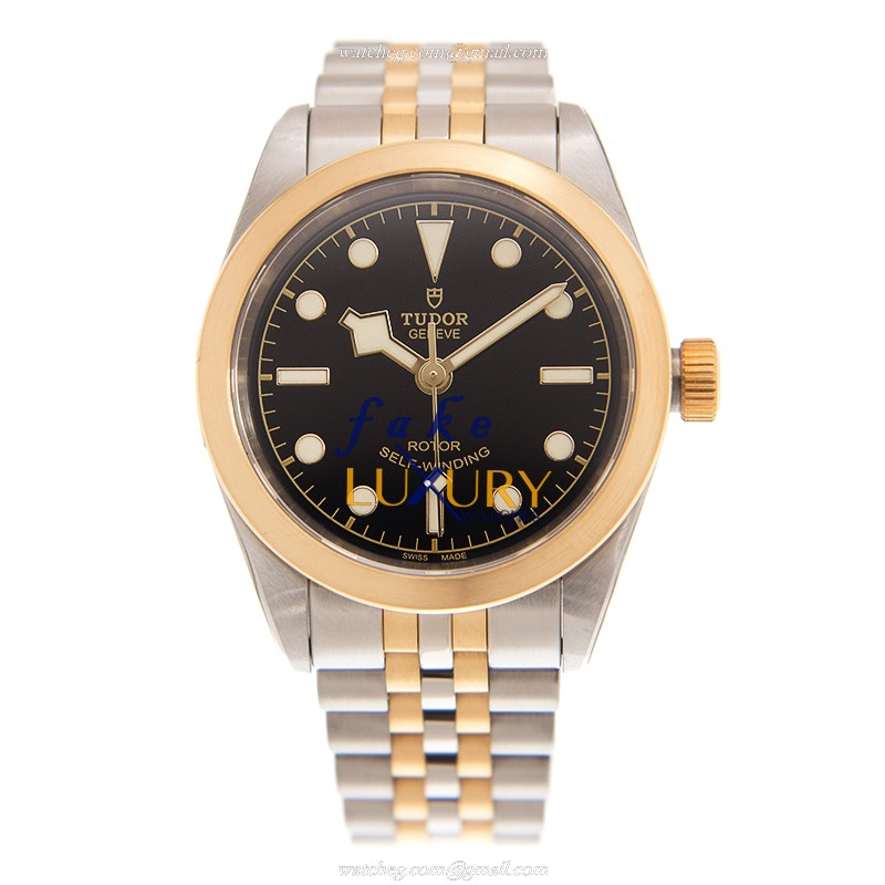 Tudor 79583BK BLACK BAY 32 AUTO GOLD STEEL CASE Sapphire Black Dial Silver Gold Strap Replica Watch - Image 2