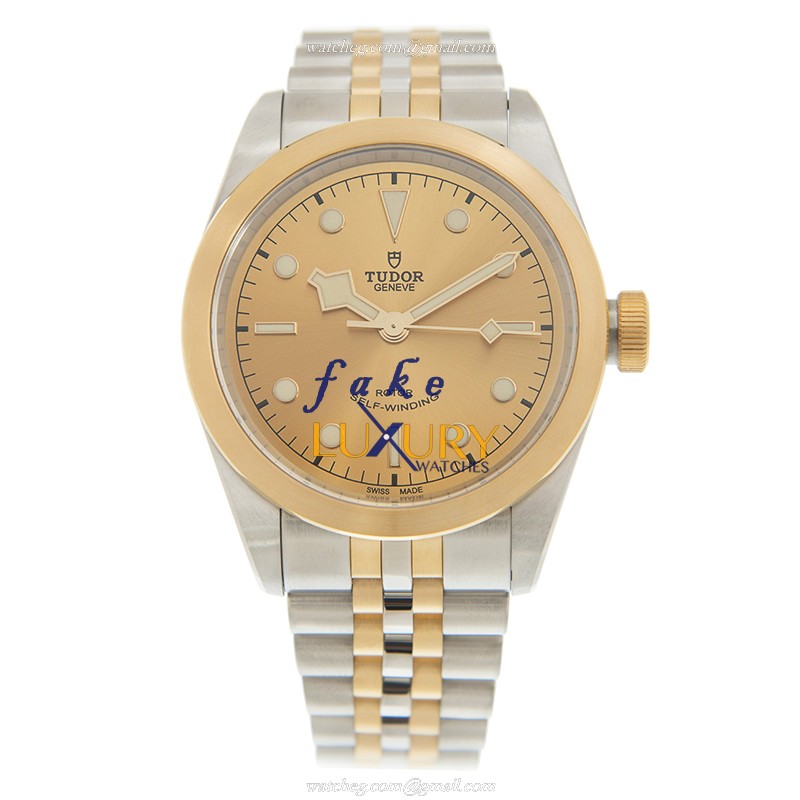 Tudor 79543CH Automatic 18kt Gold & Steel Watch - 41mm - Replica Watch - Image 2