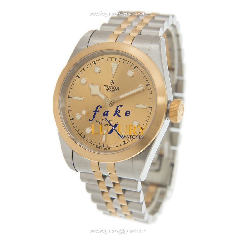 Tudor 79543CH Automatic 18kt Gold & Steel Watch - 41mm - Replica Watch - Image 3