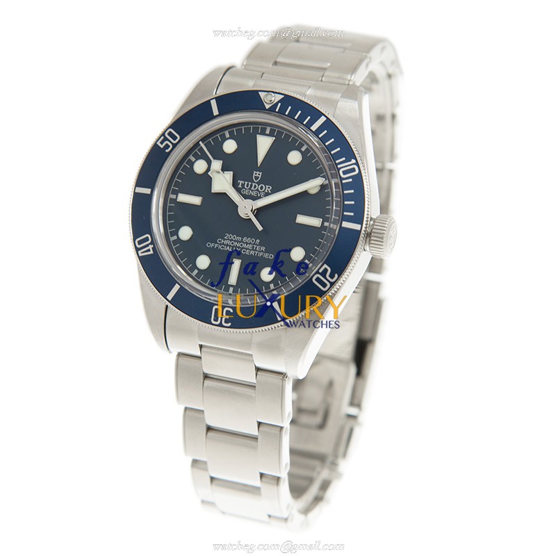 Tudor 79030B Black Bay 1958 Automatic Blue Dial Stainless Steel Replica Watch - Image 3