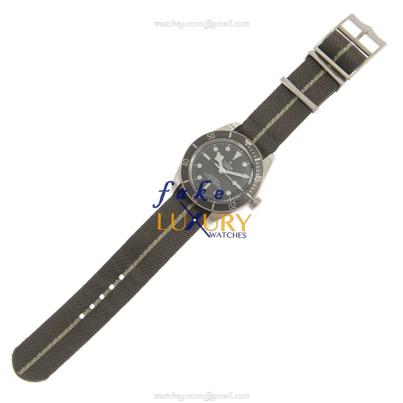 Tudor 79010SG CANVAS STRAP Replica Watch Automatic Silver 925 Grey Canvas Tudor Black Bay 1958 - Image 2