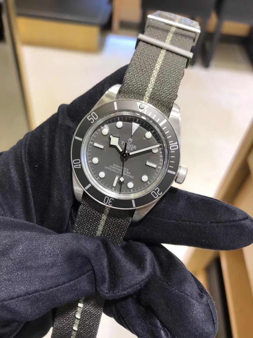 Tudor 79010SG CANVAS STRAP Replica Watch Automatic Silver 925 Grey Canvas Tudor Black Bay 1958 - Image 5