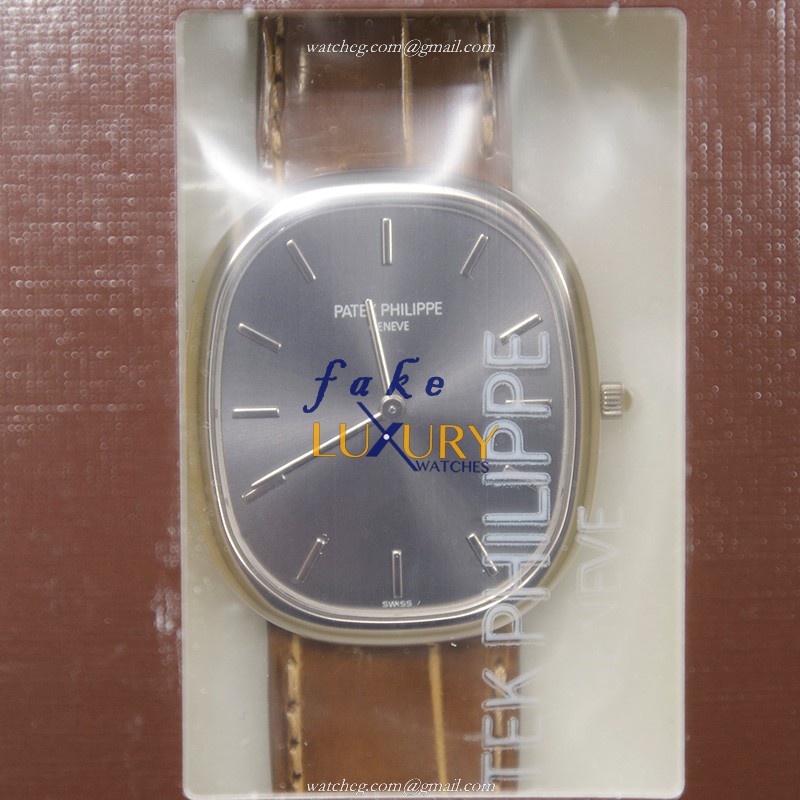 Patek Philippe 3738/100G-012 ELLIPSE Automatic Gray Dial 18kt White Gold Replica Watch - Luxury Replica Watch