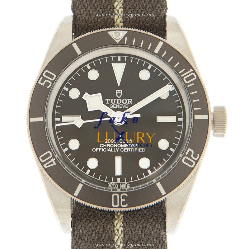 Tudor 79010SG CANVAS STRAP Replica Watch Automatic Silver 925 Grey Canvas Tudor Black Bay 1958 - Luxury Replica Watch