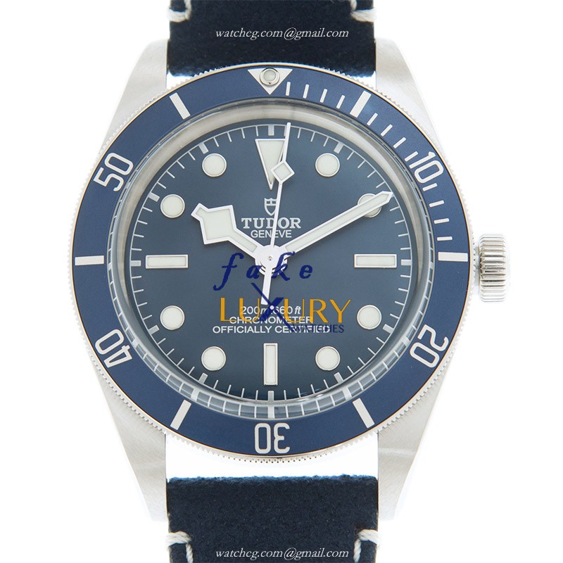 Tudor 79030B-LS BLACK BAY 1958 Automatic Silver Dial Stainless Steel Replica Watch - Luxury Replica Watch