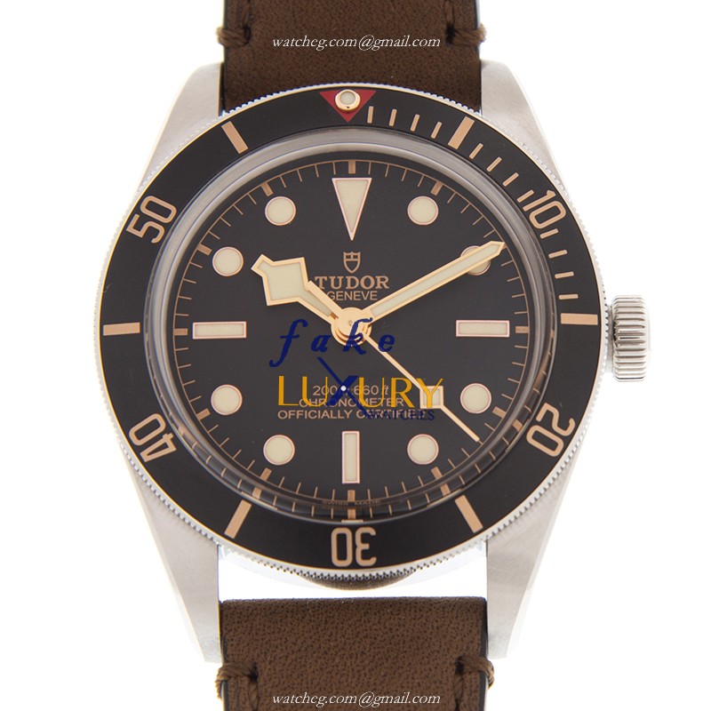 Tudor 79030N-LS BLACK BAY 1958 AUTO Swiss Steel Watch, Replica Watch - Luxury Replica Watch