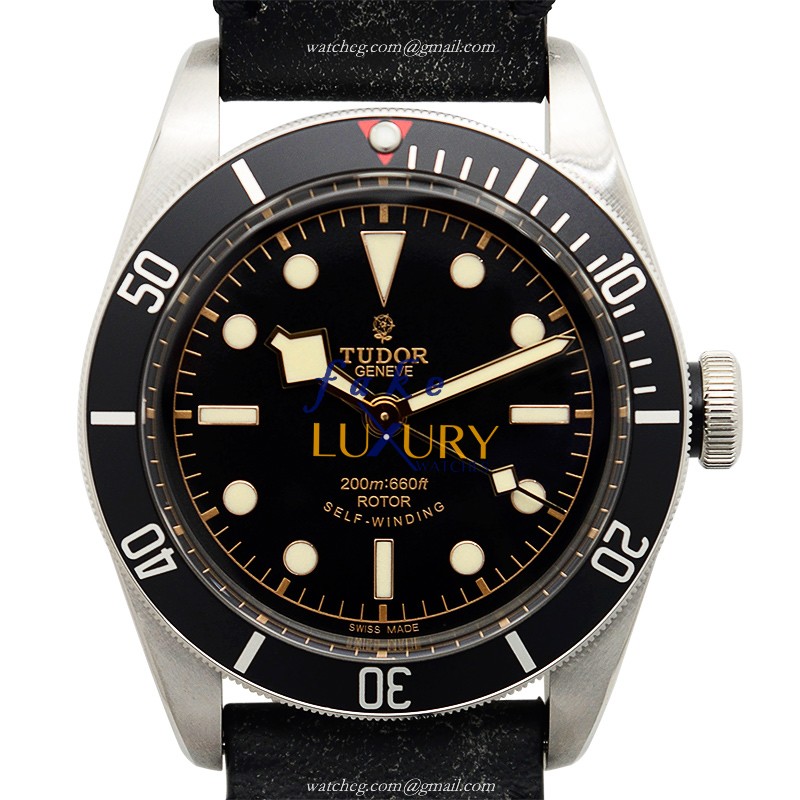 Tudor 79220N-LS - Replica Watch - 15202ST.OO.1240ST.01 - Automatic - Steel Case