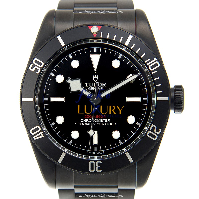 - 79230DK - Tudor Heritage Ranger Automatic Stainless Steel Replica Watch - Luxury Replica Watch