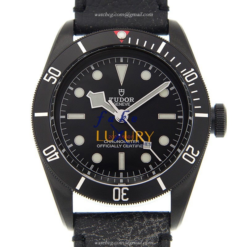 - Tudor 79230DK-LS Replica Watch - Automatic - Black Dial, Steel Case - Luxury Replica Watch