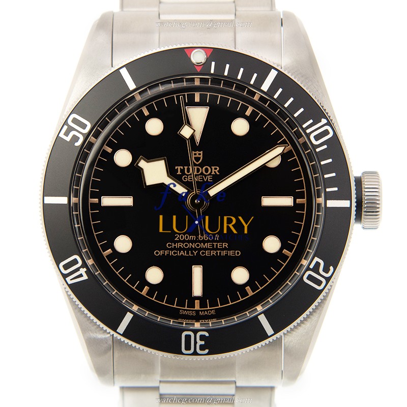 79230N - Tudor Heritage Ranger Replica Watch Automatic Black Dial Steel - Luxury Replica Watch