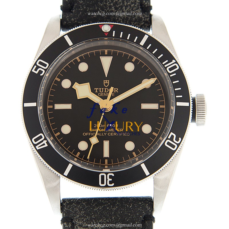 Tudor 79230N-LS Replica Watch, Automatic Movement, Stainless Steel Case, Black Dial, Leather Strap - Luxury Replica Watch