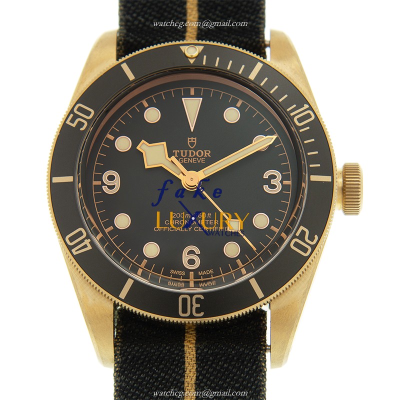 TUDOR 79250BA-CANVAS STRAP AUTOMATIC BROWN DIAL CANVAS STRAP REPLICAWATCH - Luxury Replica Watch