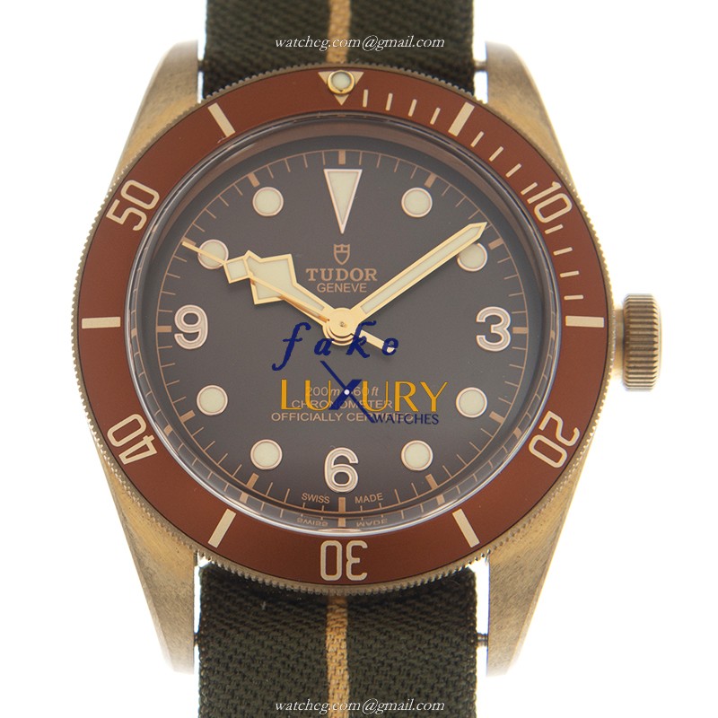 Tudor 79250BM-CANVAS STRAP AUTO BRONZE CASE BROWN DIAL GREEN CANVAS STRAP Replica Watch - Luxury Replica Watch