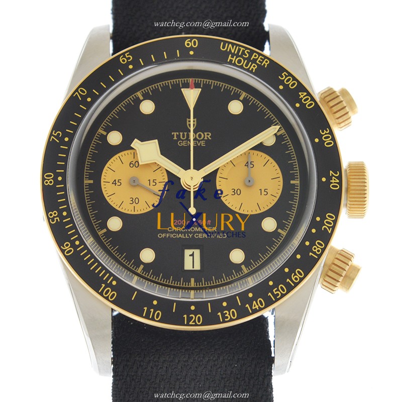 Tudor 79363N-CS BLACK BAY Automatic 18kt Gold & Steel Replica Watch, Swiss Movement, 41mm Case - Luxury Replica Watch