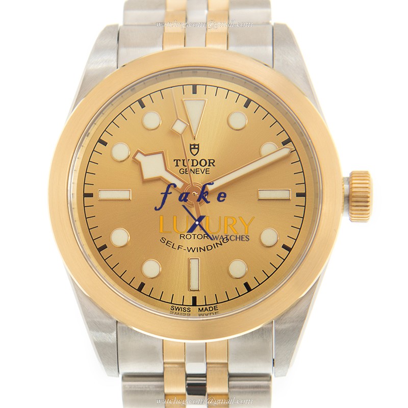 Tudor 79503CH BLACK BAY Auto 18kt Gold & Steel Case Replica Watch - Luxury Replica Watch