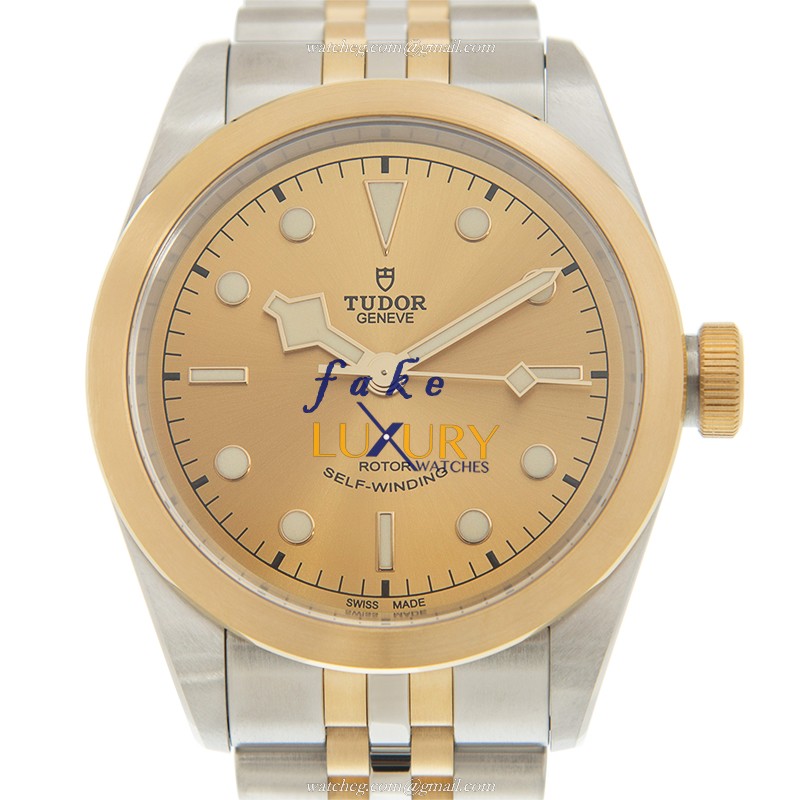 Tudor 79543CH Automatic 18kt Gold & Steel Watch - 41mm - Replica Watch - Luxury Replica Watch