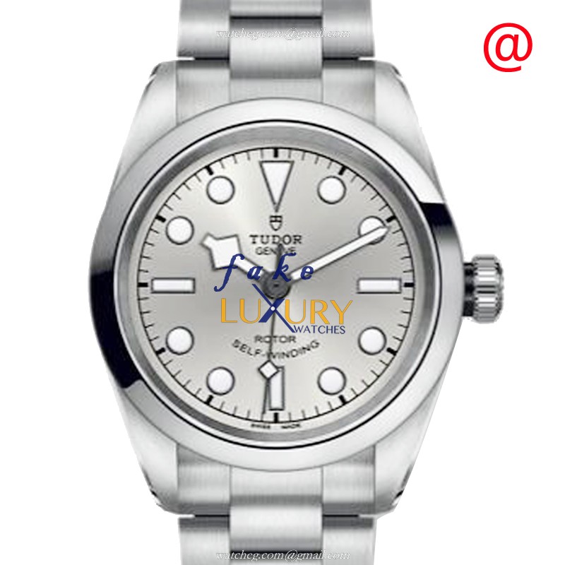 Tudor 79580SV Black Bay 32 Automatic Stainless Steel Silver Dial Replica Watch - Luxury Replica Watch
