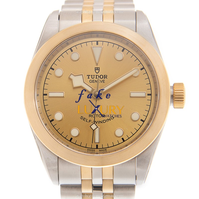 Tudor 79583CH BLACK BAY 32 Auto 18kt Gold/Steel Case Sapphire Crystal Gold Dial Silver/Gold Strap - Luxury Replica Watch