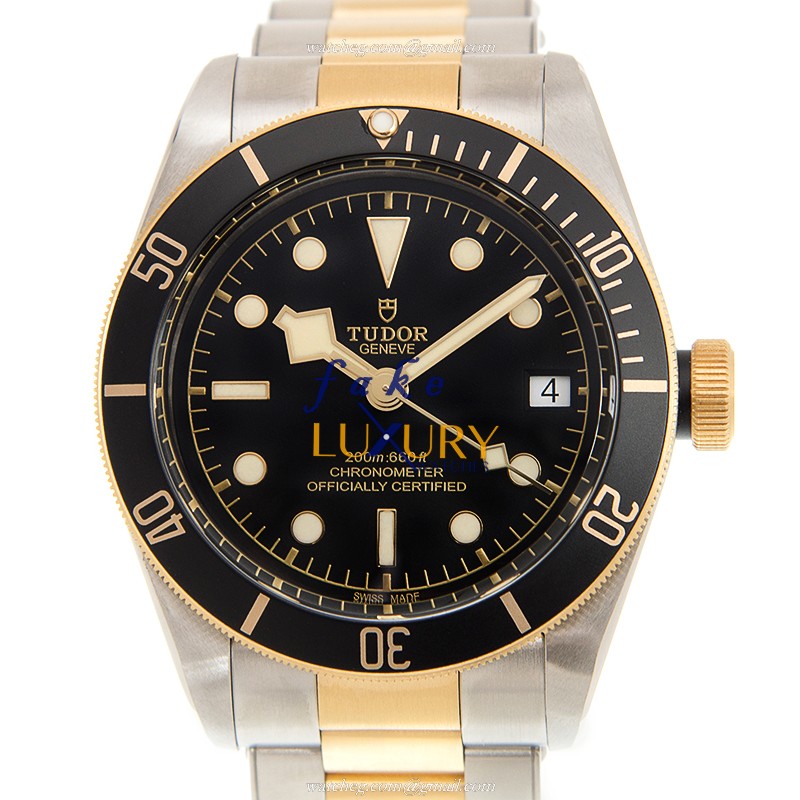 Tudor 79733N BLACK BAY AUTO 18kt Gold & Steel - Black Dial - Tudor Replica Watch - Luxury Replica Watch