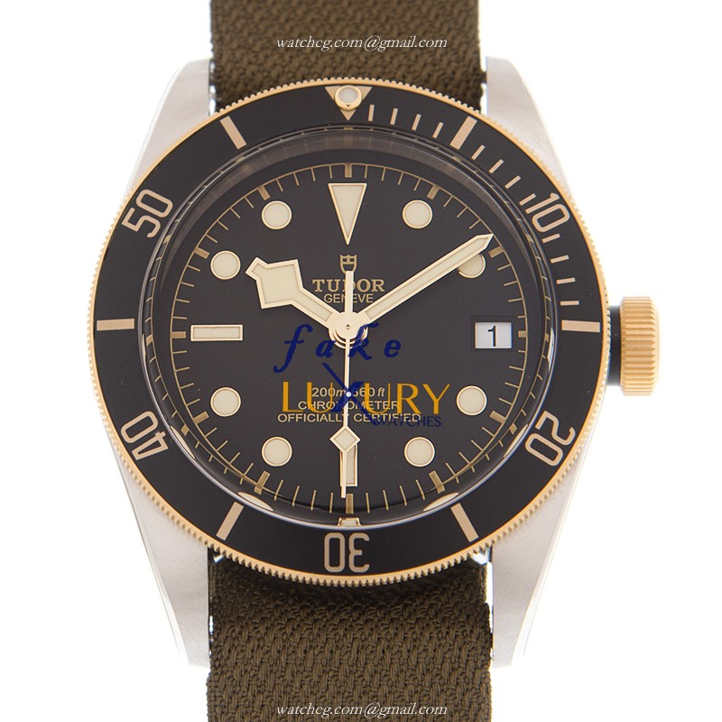 Tudor 79733N-CANVAS STRAP BLACK BAY Automatic 18kt Gold & Steel Replica Watch - Swiss Movement - Luxury Replica Watch