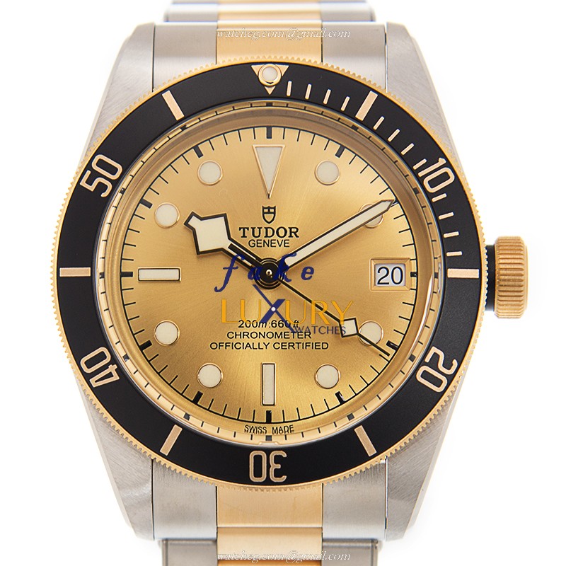 Tudor 79733N CHAMPANGE BLACK BAY Automatic 18kt Gold & Steel - Tudor Replica Watch - Luxury Replica Watch