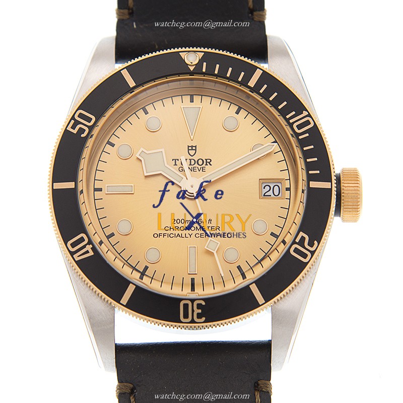 TUDOR 79733N CHAMPANGE-LEATHER STRAP BLACK BAY AUTO 18KT GOLD STEEL replica watch - Luxury Replica Watch