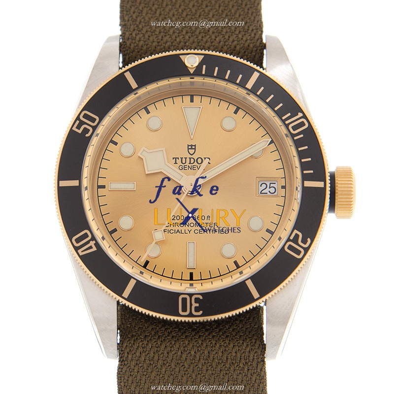 Tudor Black Bay 79733NCH-CS Replica Watch, Automatic Movement, Gold Dial, Steel Case - Luxury Replica Watch
